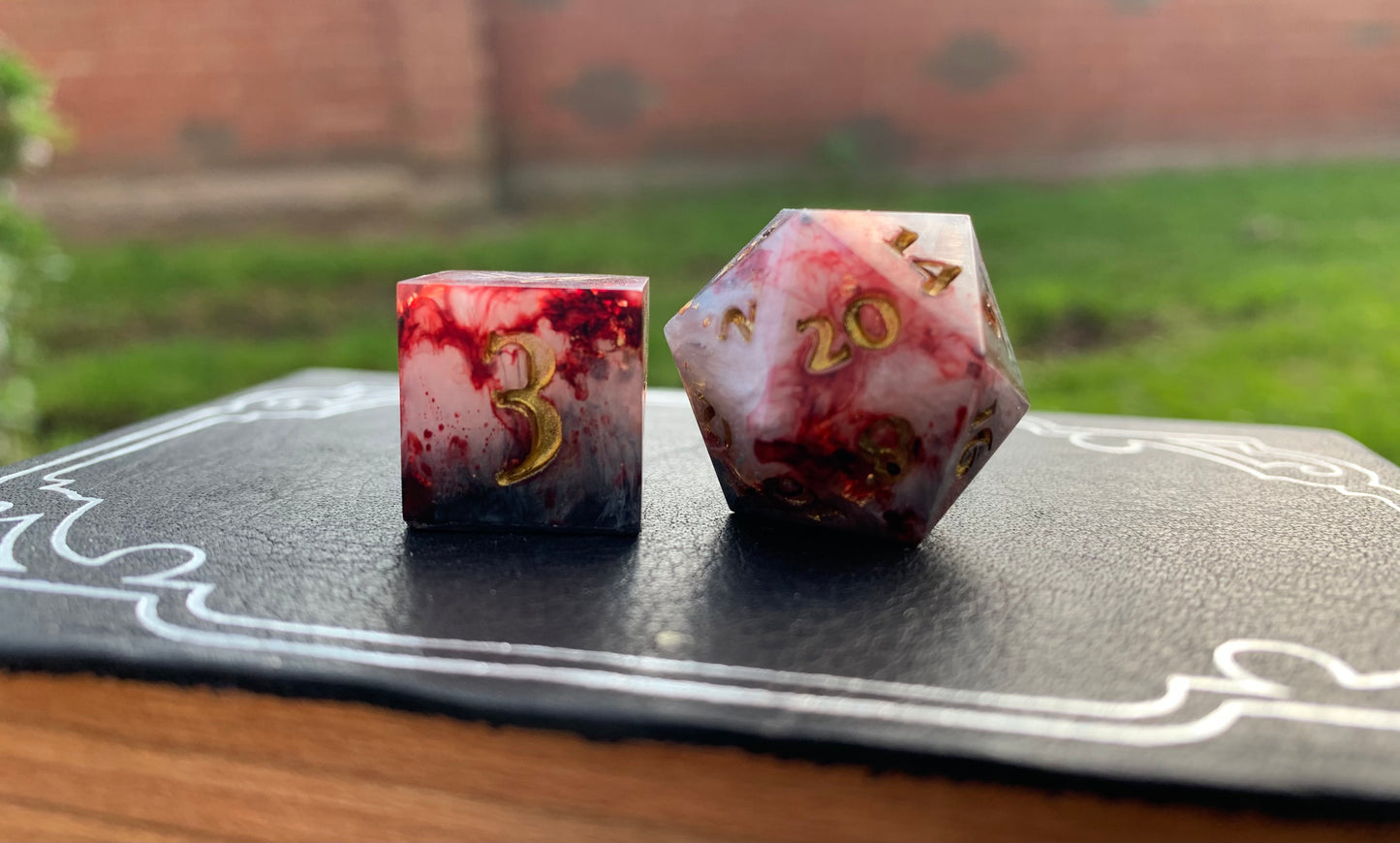 Shadow Rogue D20 & D6