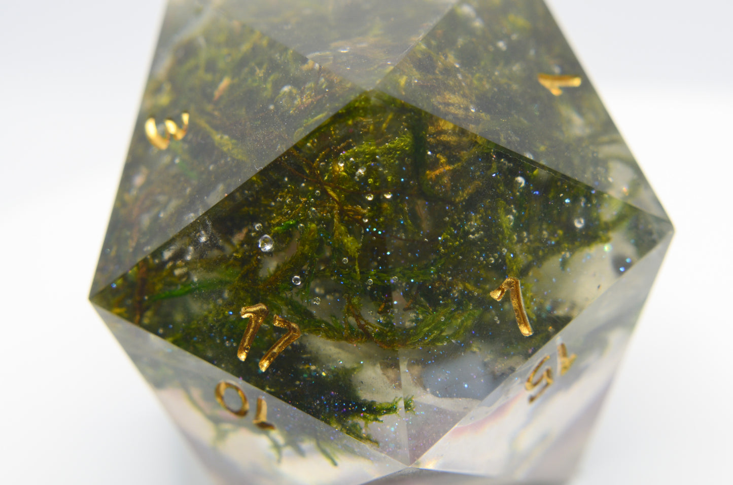 Tyrannosaurus Rose 40 mm Chonk